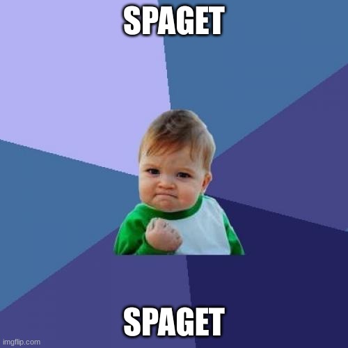 spaget | SPAGET; SPAGET | image tagged in memes,success kid | made w/ Imgflip meme maker