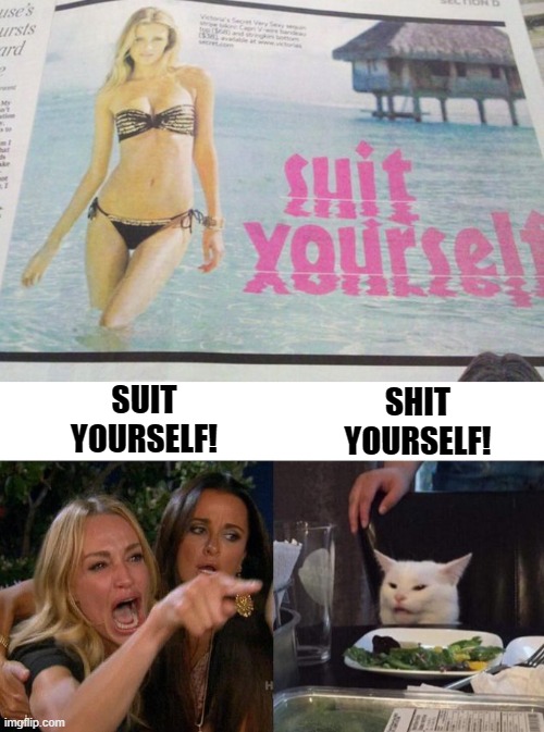 Go... | SUIT
YOURSELF! SHIT
YOURSELF! | image tagged in memes,woman yelling at cat | made w/ Imgflip meme maker