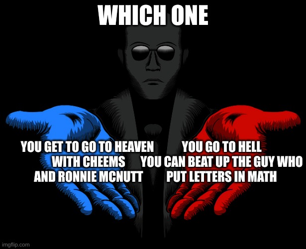 Red or Blue Pill you live and learn | WHICH ONE; YOU GET TO GO TO HEAVEN 
WITH CHEEMS
AND RONNIE MCNUTT; YOU GO TO HELL
YOU CAN BEAT UP THE GUY WHO
PUT LETTERS IN MATH | image tagged in red or blue pill you live and learn | made w/ Imgflip meme maker
