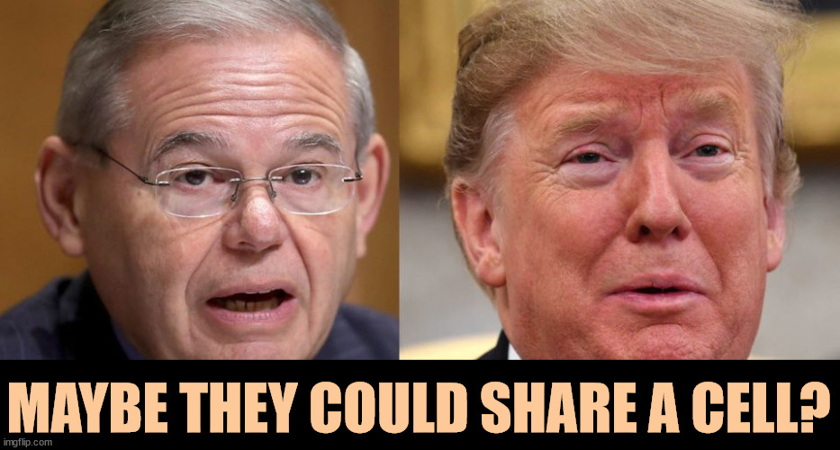 A lot of conventional, old fashioned corruption and a whole lot of gigundo, unimaginable, unprecedented corruption. | MAYBE THEY COULD SHARE A CELL? | image tagged in bob menendez,donald trump,greedy,corruption | made w/ Imgflip meme maker