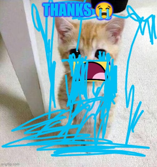 Thank you kitten | THANKS ? | image tagged in thank you kitten | made w/ Imgflip meme maker