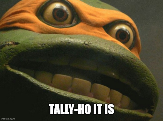 Tally-ho | TALLY-HO IT IS | image tagged in ninja turtles,cannon | made w/ Imgflip meme maker