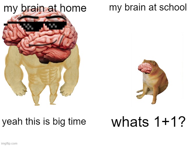 Buff Doge vs. Cheems Meme | my brain at home; my brain at school; whats 1+1? yeah this is big time | image tagged in memes,buff doge vs cheems | made w/ Imgflip meme maker