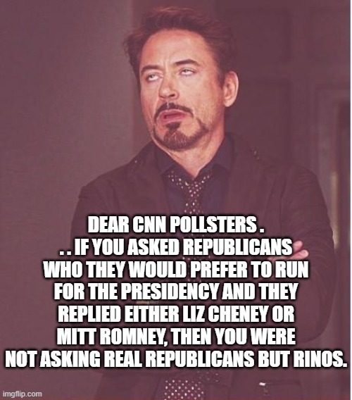 Think of this as a pro tip CNN. | DEAR CNN POLLSTERS . . . IF YOU ASKED REPUBLICANS WHO THEY WOULD PREFER TO RUN FOR THE PRESIDENCY AND THEY REPLIED EITHER LIZ CHENEY OR MITT ROMNEY, THEN YOU WERE NOT ASKING REAL REPUBLICANS BUT RINOS. | image tagged in face you make robert downey jr | made w/ Imgflip meme maker