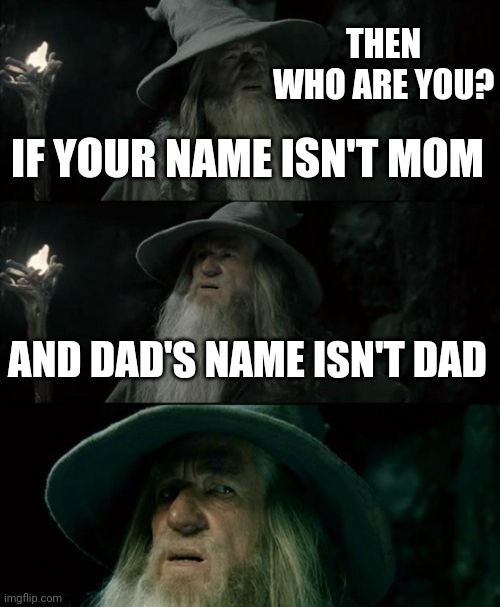 Confused Gandalf | THEN WHO ARE YOU? IF YOUR NAME ISN'T MOM; AND DAD'S NAME ISN'T DAD | image tagged in memes,confused gandalf | made w/ Imgflip meme maker