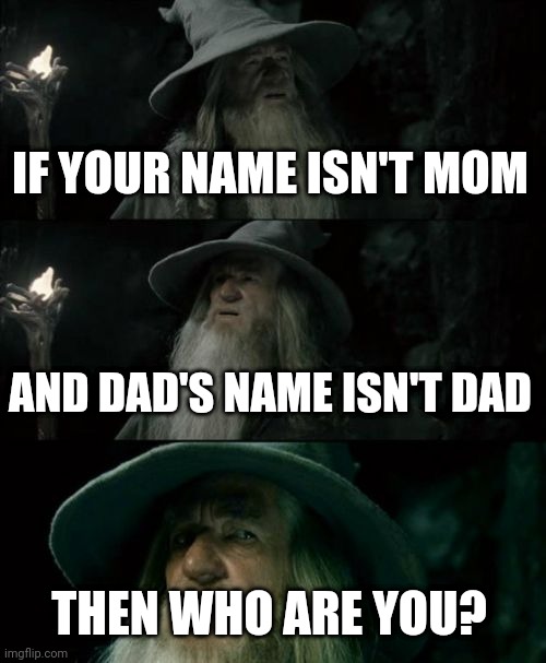 Confused Gandalf | IF YOUR NAME ISN'T MOM; AND DAD'S NAME ISN'T DAD; THEN WHO ARE YOU? | image tagged in memes,confused gandalf | made w/ Imgflip meme maker