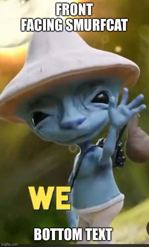 FRONT FACING SMURFCAT; BOTTOM TEXT | made w/ Imgflip meme maker