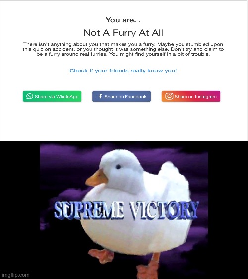 I win | image tagged in supreme victory duck,anti furry,furry,quiz | made w/ Imgflip meme maker