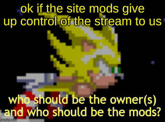 S.Sonic temp #1 | ok if the site mods give up control of the stream to us; who should be the owner(s) and who should be the mods? | image tagged in s sonic temp 1 | made w/ Imgflip meme maker