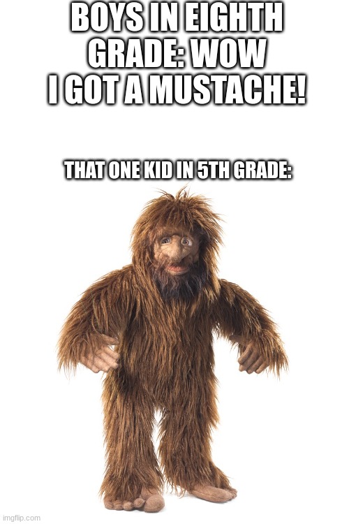 very very hairy | BOYS IN EIGHTH GRADE: WOW I GOT A MUSTACHE! THAT ONE KID IN 5TH GRADE: | image tagged in hair,sasquatch | made w/ Imgflip meme maker