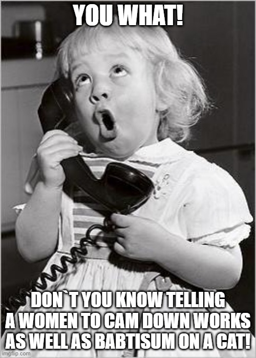 telephone girl | YOU WHAT! DON`T YOU KNOW TELLING A WOMEN TO CAM DOWN WORKS AS WELL AS BABTISUM ON A CAT! | image tagged in telephone girl | made w/ Imgflip meme maker