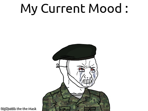 My Mood : | My Current Mood :; Note : It's the the Mask | image tagged in blank white template,wojak,oc,soldier | made w/ Imgflip meme maker