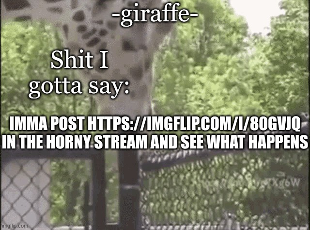 -giraffe- | IMMA POST HTTPS://IMGFLIP.COM/I/80GVJQ IN THE HORNY STREAM AND SEE WHAT HAPPENS | image tagged in -giraffe- | made w/ Imgflip meme maker