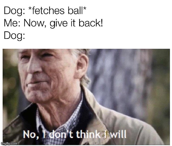 Fr | image tagged in dogs | made w/ Imgflip meme maker