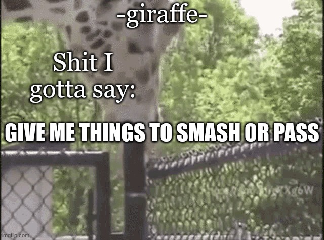 i got bored | GIVE ME THINGS TO SMASH OR PASS | image tagged in -giraffe- | made w/ Imgflip meme maker