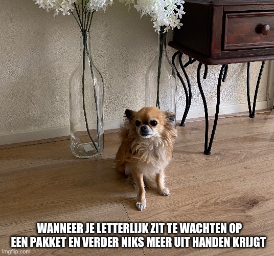 WANNEER JE LETTERLIJK ZIT TE WACHTEN OP EEN PAKKET EN VERDER NIKS MEER UIT HANDEN KRIJGT | made w/ Imgflip meme maker