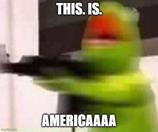 school shooter (muppet) | THIS. IS. AMERICAAAA | image tagged in school shooter muppet | made w/ Imgflip meme maker