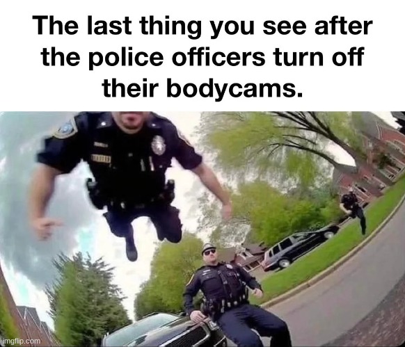 image tagged in memes | made w/ Imgflip meme maker