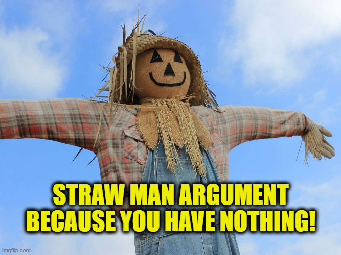 Straw man | STRAW MAN ARGUMENT
BECAUSE YOU HAVE NOTHING! | image tagged in strawman | made w/ Imgflip meme maker