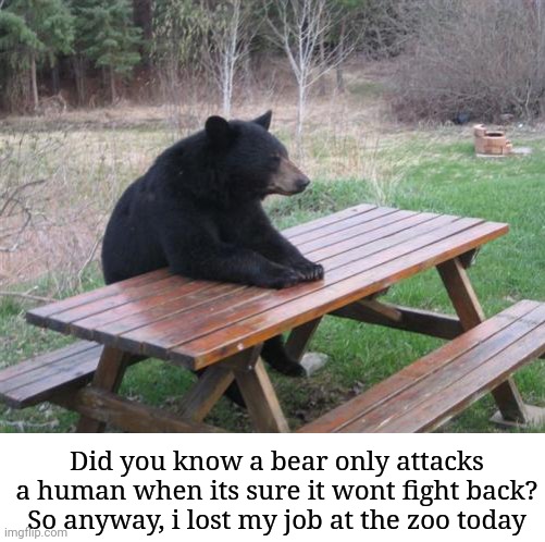 Bad Luck Bear | Did you know a bear only attacks a human when its sure it wont fight back?
So anyway, i lost my job at the zoo today | image tagged in memes,dark humor | made w/ Imgflip meme maker