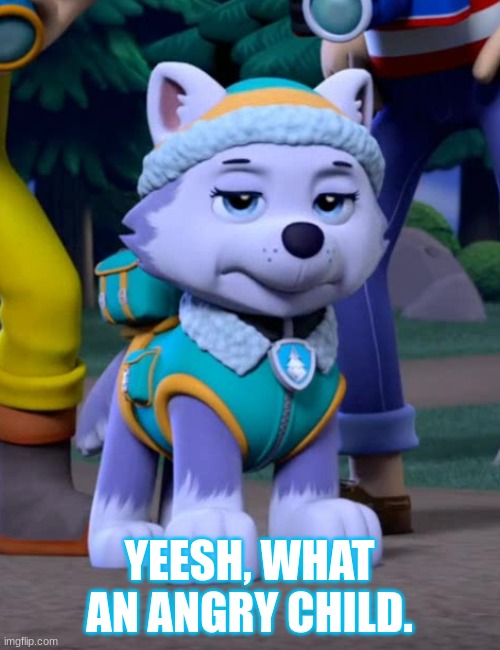 Bad Day Everest PAW Patrol | YEESH, WHAT AN ANGRY CHILD. | image tagged in bad day everest paw patrol | made w/ Imgflip meme maker