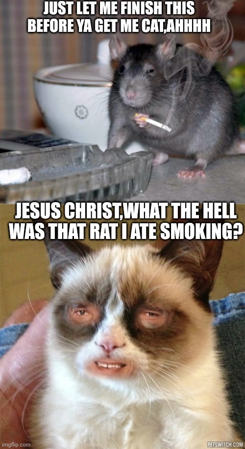 JUST LET ME FINISH THIS BEFORE YA GET ME CAT,AHHHH; JESUS CHRIST,WHAT THE HELL WAS THAT RAT I ATE SMOKING? | image tagged in smoking rat,grumpy cat high | made w/ Imgflip meme maker