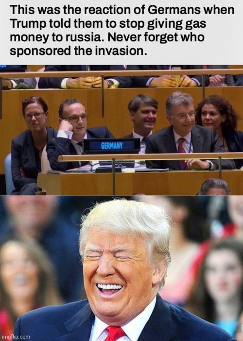 Tough job being right all the time , but somebody's got to do it | image tagged in trump laughing,germans,congratulations you played yourself,putin cheers,shut up and take my money | made w/ Imgflip meme maker