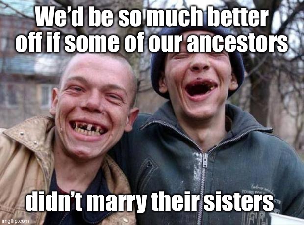 No teeth | We’d be so much better off if some of our ancestors didn’t marry their sisters | image tagged in no teeth | made w/ Imgflip meme maker