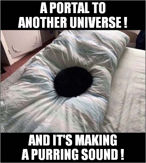 A Black Hole Has Appeared ! | A PORTAL TO ANOTHER UNIVERSE ! AND IT'S MAKING A PURRING SOUND ! | image tagged in cats,black hole,purring | made w/ Imgflip meme maker