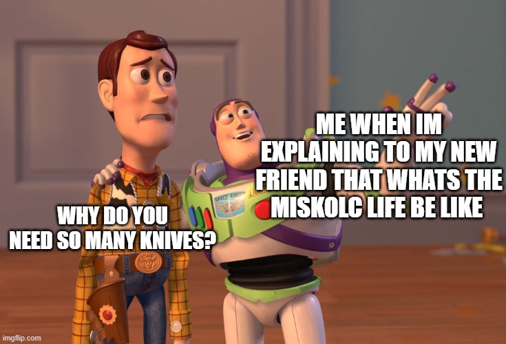 Life in miskolcz | ME WHEN IM EXPLAINING TO MY NEW FRIEND THAT WHATS THE MISKOLC LIFE BE LIKE; WHY DO YOU NEED SO MANY KNIVES? | image tagged in memes,x x everywhere | made w/ Imgflip meme maker