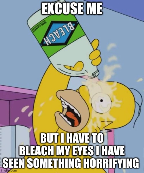 Homer with bleach | EXCUSE ME BUT I HAVE TO BLEACH MY EYES I HAVE SEEN SOMETHING HORRIFYING | image tagged in homer with bleach | made w/ Imgflip meme maker