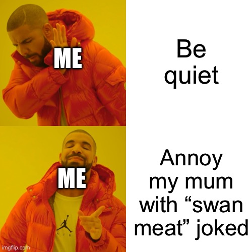 Relatable | Be quiet; ME; Annoy my mum with “swan meat” joked; ME | image tagged in memes,drake hotline bling,relatable,food,swan,meat | made w/ Imgflip meme maker