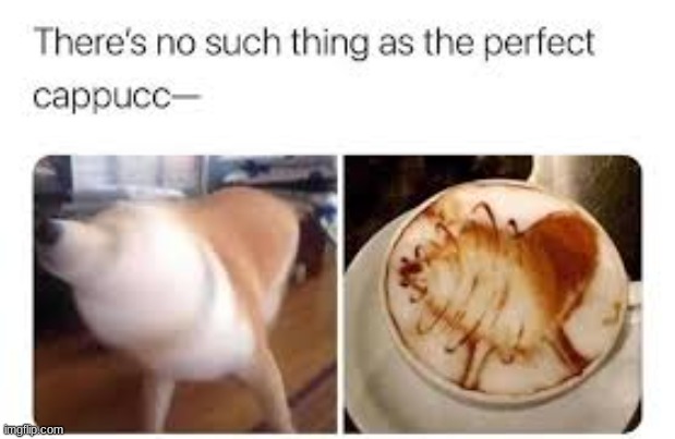 how | image tagged in funny,doge,relatable memes,relatable,funny memes,meme | made w/ Imgflip meme maker
