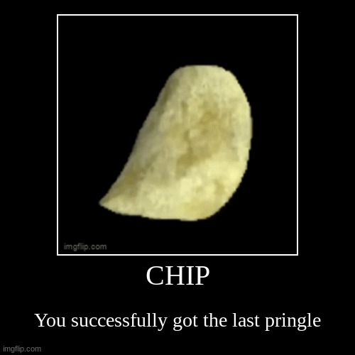 CHIP | You successfully got the last pringle | image tagged in funny,demotivationals,chip | made w/ Imgflip demotivational maker