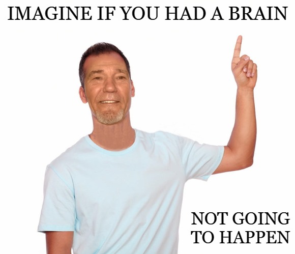 point up | IMAGINE IF YOU HAD A BRAIN NOT GOING TO HAPPEN | image tagged in point up | made w/ Imgflip meme maker