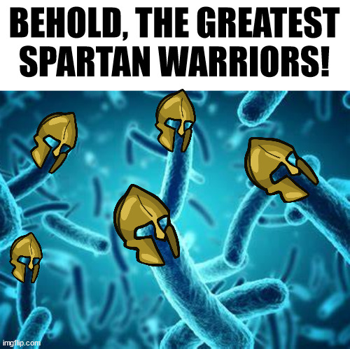 Peloponessian War | BEHOLD, THE GREATEST SPARTAN WARRIORS! | image tagged in athens,sparta,history,memes | made w/ Imgflip meme maker