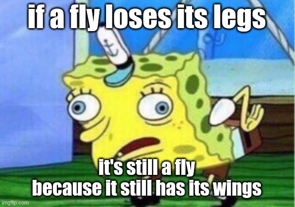 Mocking Spongebob Meme | if a fly loses its legs it's still a fly because it still has its wings | image tagged in memes,mocking spongebob | made w/ Imgflip meme maker