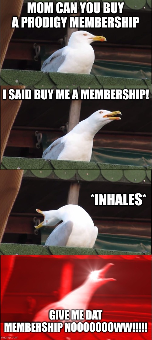 that one kid that really wanted a prodigy membership | MOM CAN YOU BUY A PRODIGY MEMBERSHIP; I SAID BUY ME A MEMBERSHIP! *INHALES*; GIVE ME DAT MEMBERSHIP NOOOOOOOWW!!!!! | image tagged in memes,inhaling seagull,prodigy | made w/ Imgflip meme maker