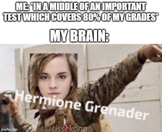 tbh i had many war with my own brain | ME: *IN A MIDDLE OF AN IMPORTANT TEST WHICH COVERS 80% OF MY GRADES*; MY BRAIN: | image tagged in idk,unfunny | made w/ Imgflip meme maker