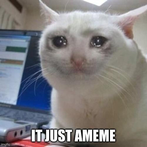 Crying cat | IT JUST AMEME | image tagged in crying cat | made w/ Imgflip meme maker