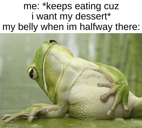 Frog Full Belly | me: *keeps eating cuz i want my dessert*
my belly when im halfway there: | image tagged in frog full belly | made w/ Imgflip meme maker