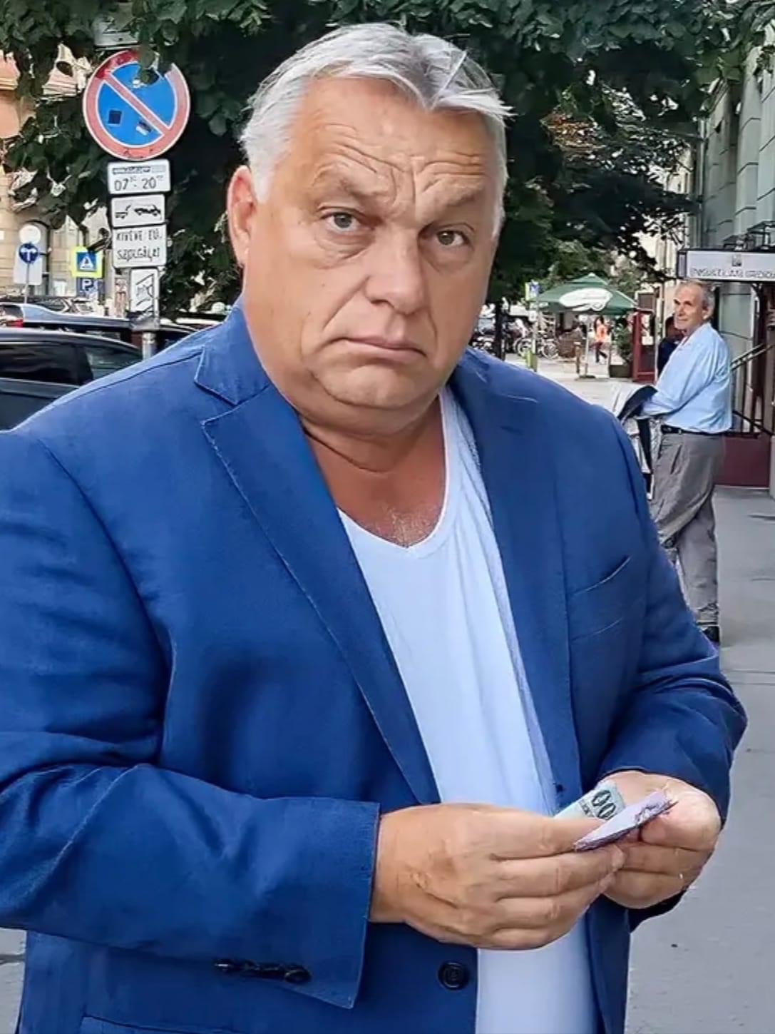 Viktor Orbán pénzt számol Blank Meme Template