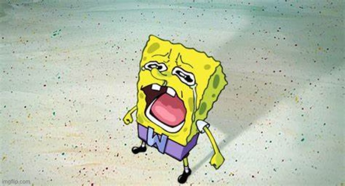 SpongeBob Chopper Cry | image tagged in spongebob chopper cry | made w/ Imgflip meme maker