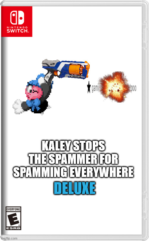 Nintendo Switch | KALEY STOPS THE SPAMMER FOR SPAMMING EVERYWHERE DELUXE | image tagged in nintendo switch | made w/ Imgflip meme maker