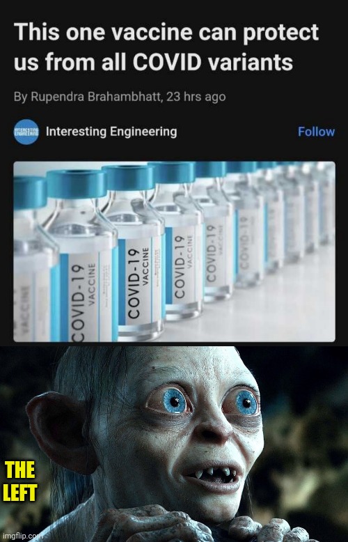 The One Vaccine To Rule Them All | THE LEFT | image tagged in my precious,covid-19,vaccines,poison,gollum,leftists | made w/ Imgflip meme maker