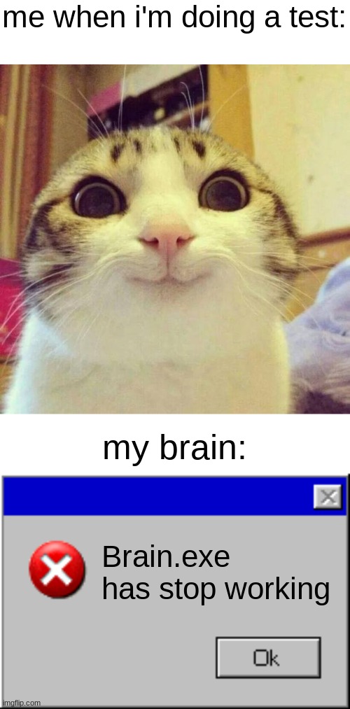 this happens a lot :P | me when i'm doing a test:; my brain:; Brain.exe has stop working | image tagged in memes,smiling cat,windows error message,my brain,me when,stop reading the tags | made w/ Imgflip meme maker