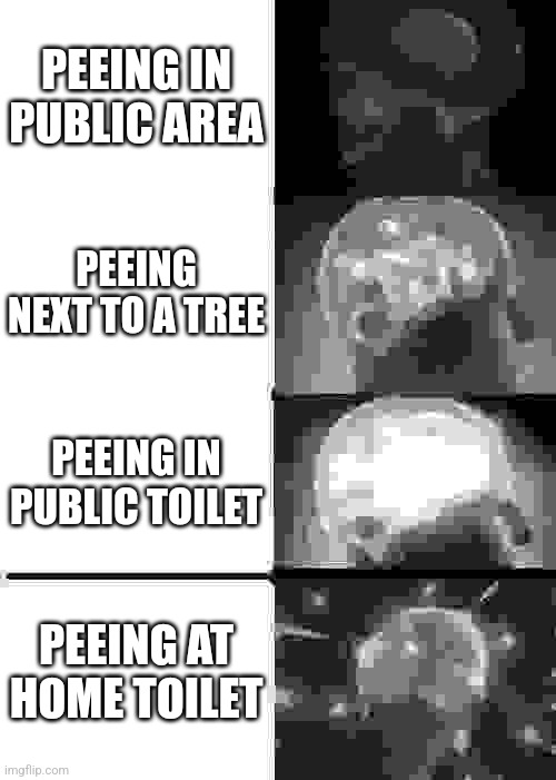 Expanding Brain Meme | PEEING IN PUBLIC AREA PEEING NEXT TO A TREE PEEING IN PUBLIC TOILET PEEING AT HOME TOILET | image tagged in memes,expanding brain | made w/ Imgflip meme maker