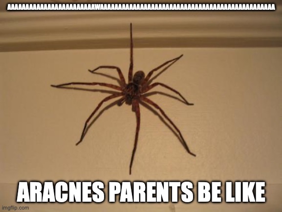 aracne | AAAAAAAAAAAAAAAAAAAAAAAAWAAAAAAAAAAAAAAAAAAAAAAAAAAAAAAAAAAAAAAAAAAAAAAAA; ARACNES PARENTS BE LIKE | image tagged in scumbag spider,i hid a w in all those a's try and find it | made w/ Imgflip meme maker