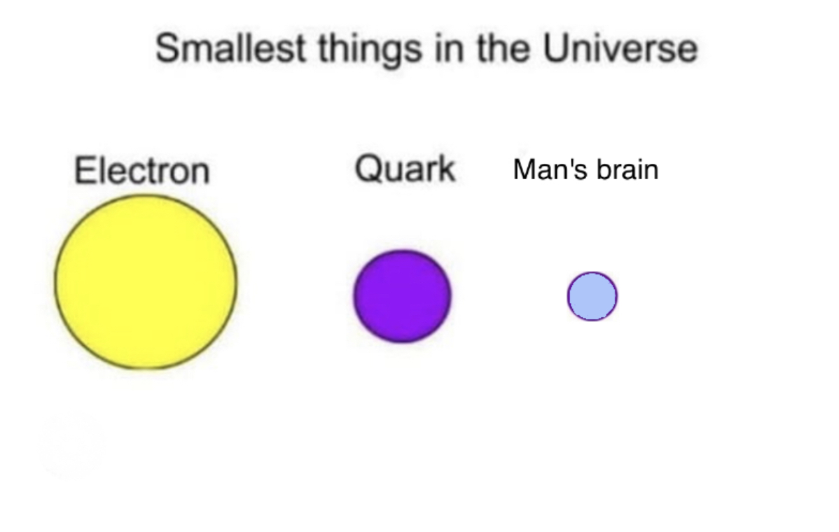 Smallest things in the universe Blank Meme Template