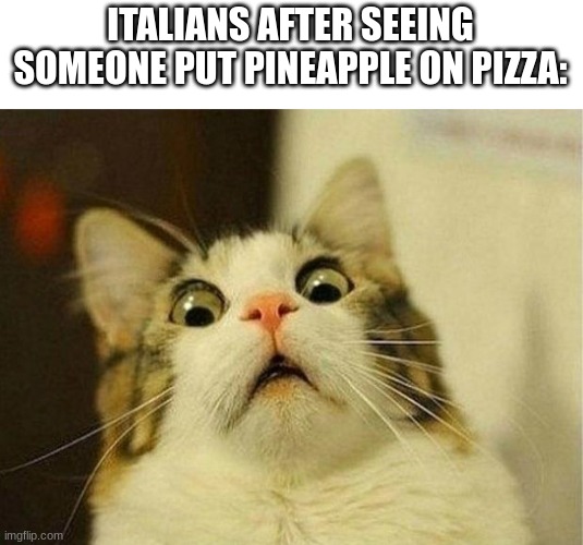 It gives them nightmares | ITALIANS AFTER SEEING SOMEONE PUT PINEAPPLE ON PIZZA: | image tagged in memes,scared cat | made w/ Imgflip meme maker